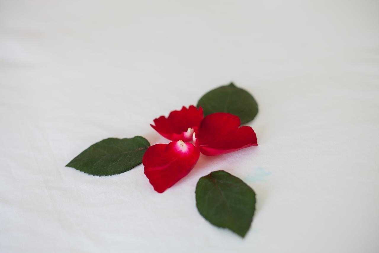 Sapa Tulip Hotel Eksteriør bilde